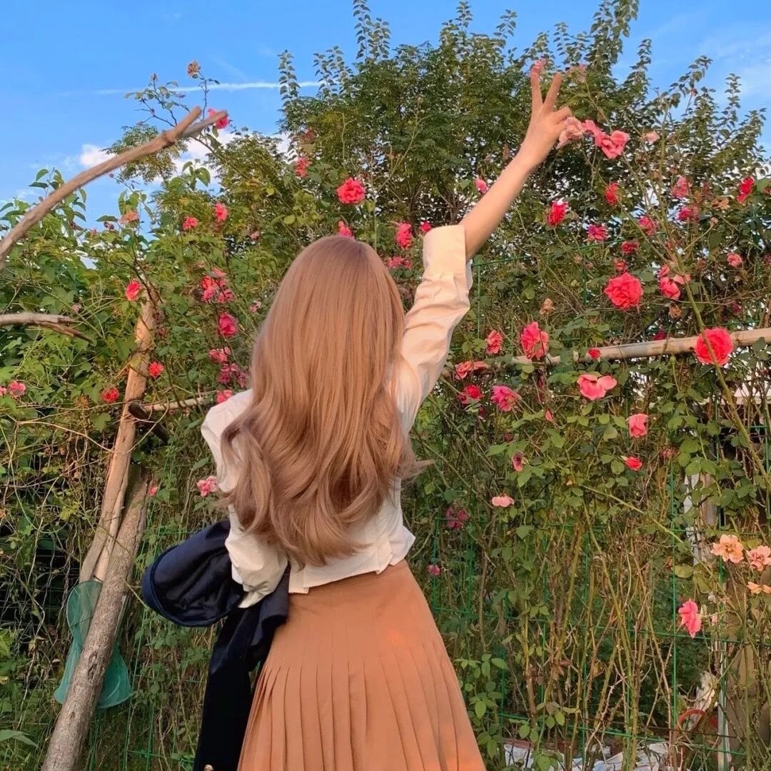 我的朋友,我的同学,我爱过的一切